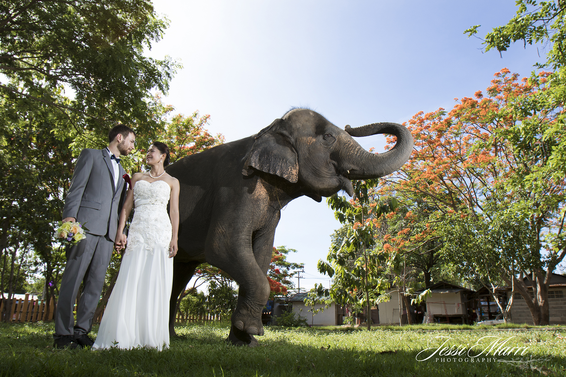 Houston Wedding Photographers Jessi Marri Photography